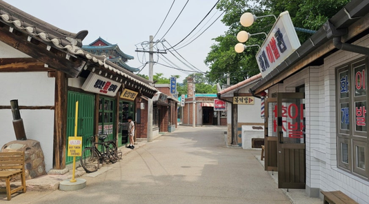【暑假抗漲】首爾親子時光5天、愛寶樂園、首爾林、7080復古街、海鷗船(一站彩妝)★台中出發