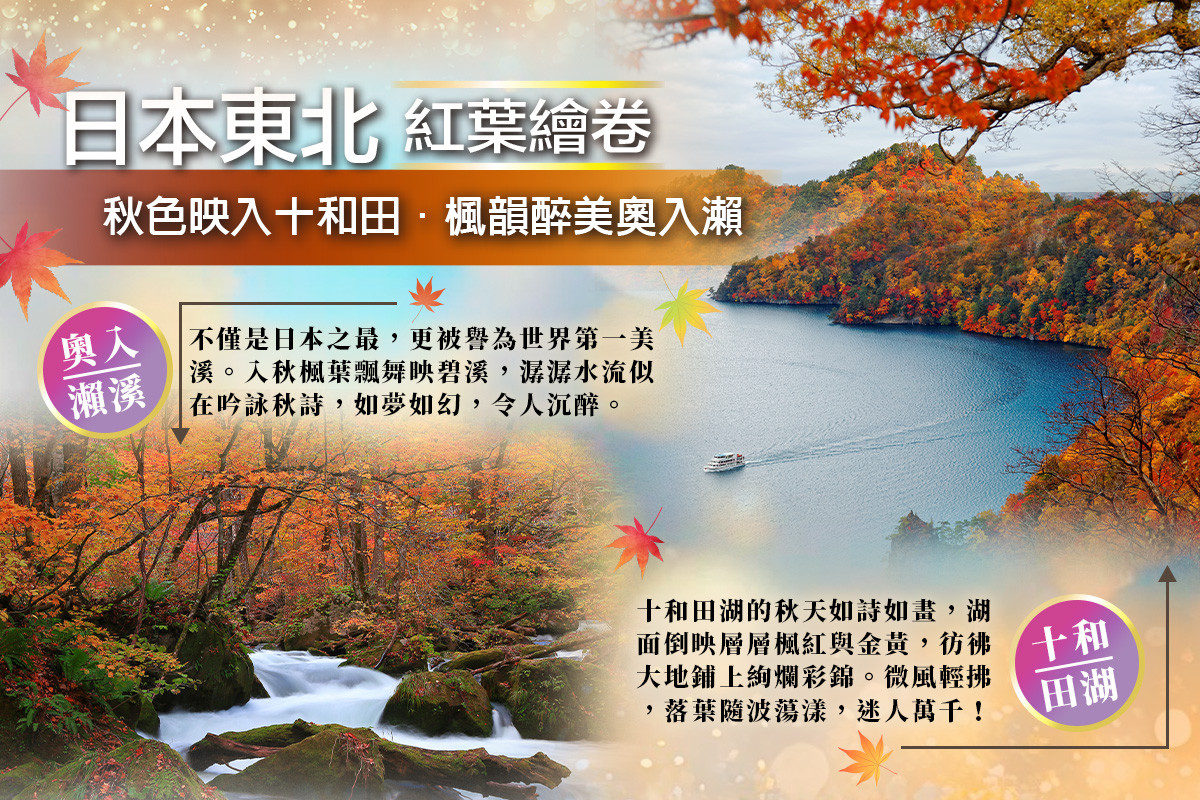 跟團限時省♯【東北紅葉賞】奧入瀨溪.十和田湖遊船.銀山溫泉.猊鼻溪扁舟.螃蟹和牛饗雙溫泉七日 狐狸村 採蘋果 掃帚草