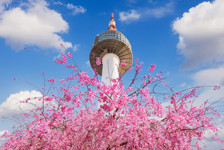 【威風暑於韓國】〔升等兩晚五花酒店〕愛寶樂園.景福宮.美食饗宴 五日遊 (TW台中出發) 11