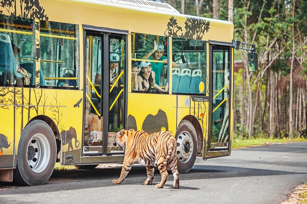 虎航~直飛富國島-360度全景跨海纜車.香島樂園.野生動物園.珍珠樂園.威尼斯水舞秀-四星渡假六日【無購物】~2人成行