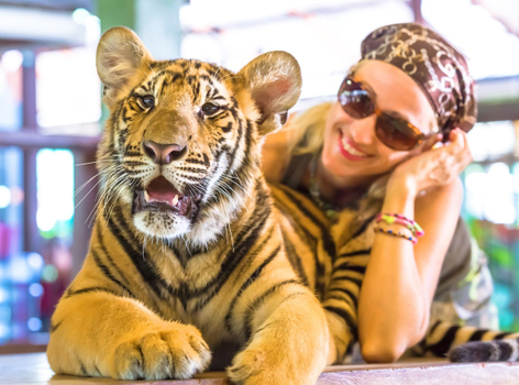 【虎哩普吉｜星級饗宴5天】5星酒店、皇室泰服體驗、手作泰式料理、虎哩拍照、友善象徑體驗、熱石精油SPA(6人成行)