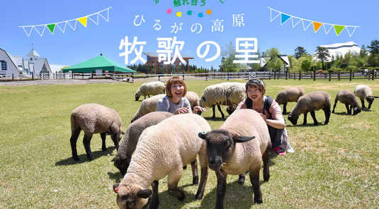 易遊x星宇玩北陸樂高樂園+水族館．牧歌之里．JR磁浮鐵道館．白川合掌村．OUTLET血拚．高山溫泉