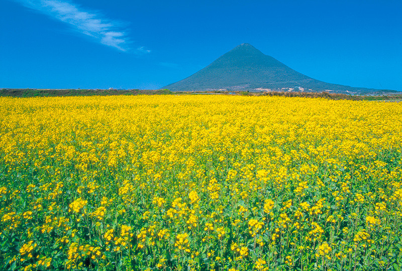 最愛南九州～高千穗牧場、指宿享沙浴、鹿兒島半日閒、名勝仙巖園五日(不進免稅店)