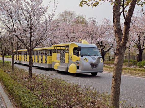 【易遊嚴選】童心首爾5天~愛寶樂園、永宗島鐵道自行車、星空圖書館、首爾大公園、恩平韓屋村、塗鴉秀(一站彩妝)★台中出發