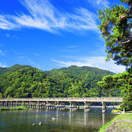 精緻假期~大阪京都奈良.奈良鹿公園.春日大社.東大寺.嵐山渡月橋.清水寺.輕鬆休閒半自由行五日