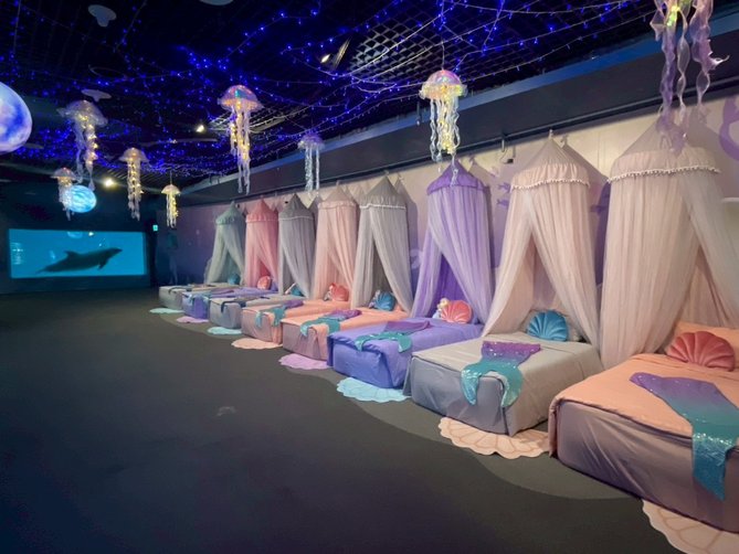 ▼ 夢幻人魚夜未眠:美人魚主題睡眠區 ▼ 夢幻人魚夜未眠:美人魚主題睡眠區