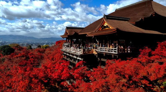 京都金閣寺+嵐山+清水寺