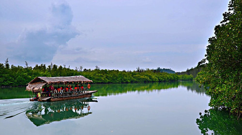 ãæ²å·´é¾å°¾ç£ãçåçæå°çµæ