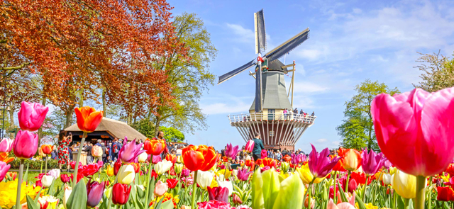 鬱約花季早鳥省♯花季香約荷比盧 庫肯霍夫 10天*米其林推薦*360觀景*梵谷森林公園(CI)