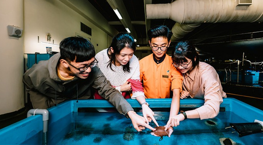 墾丁夜宿海生館夢幻世界+花蓮湖光山色小假期3天