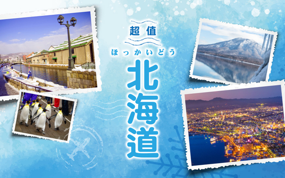 寒假早鳥GO♯超值冬雪北海道5日-北海道米其林星空夜景、企鵝遊行、卡哇伊熊牧場、雪上活動、浪漫小樽、洞爺彩燈隧道、札幌白色燈樹節