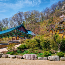 雪嶽楓情戀韓國五天《不走人蔘保肝》雪嶽山國家公園+新興寺+青銅大佛(季節性賞楓)、南怡島、德壽宮【松山泰瑞】