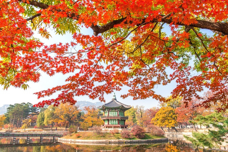 首爾限量搶｜入住一晚近東大門.暢遊樂園.搭乘漢江導覽船.穿韓服遊景福宮.明洞逛街5日