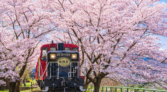 嵐山小火車+保津川漂流體驗一日遊(中文)