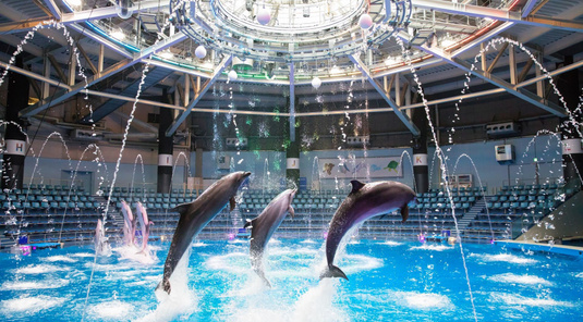 【東京】品川麥克賽爾水族館門票