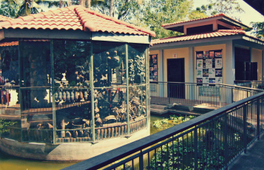 柬埔寨地雷博物館＆蝴蝶園一日遊（暹粒出發）