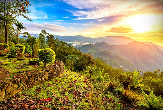 易起FUN寒假♯南洋之淚、斯里蘭卡～獅子岩丹布拉、雅拉國家公園、歷史城市漫遊、高山茶園火車九日