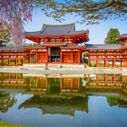 【日本頂級遊輪.飛鳥Ⅲ號】春之賞櫻.日本6天~入住大阪麗池卡爾頓、大阪城公園、姬路城、美美津街道、南禪寺、平等院