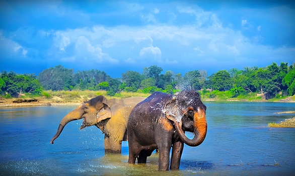 易起FUN寒假♯尼泊爾9日│喜馬拉雅山脈、加德滿都、奇旺叢林探險、波卡拉湖畔、一段內陸段