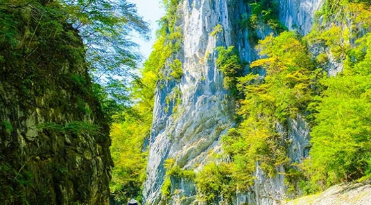 陸奧夏日風情~十和田湖奧入瀨6天