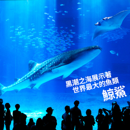 【嗨玩沖繩4日~(不進免稅店)】叢林侏儸紀樂園. 海洋博公園. IG爆紅沖繩小希臘~瀬長島.星野咖啡.北谷町美國村.沖繩