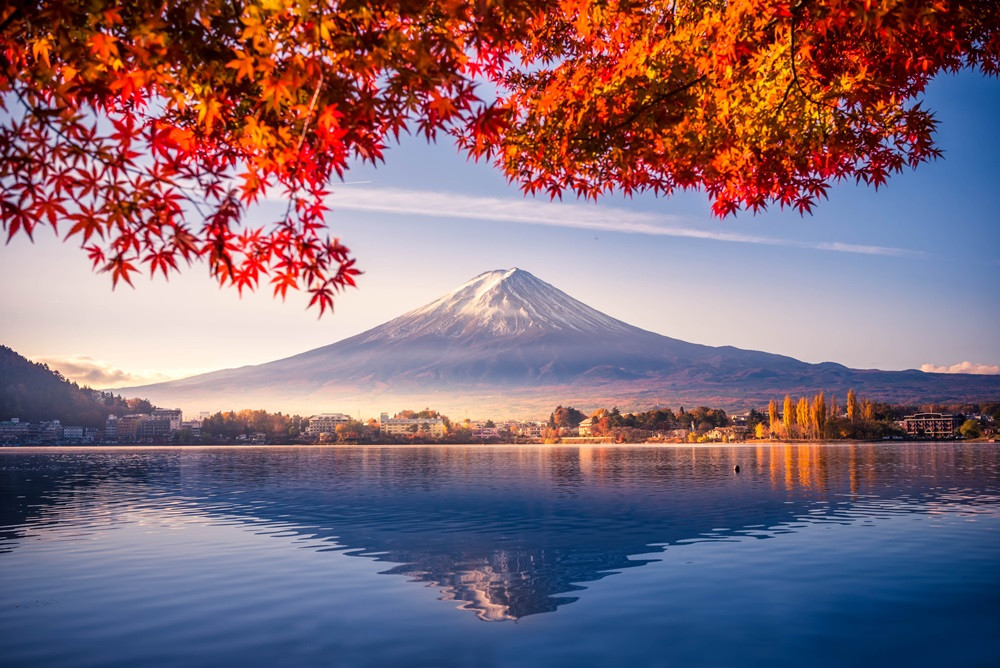 秋楓東京｜賞楓名所.河口湖紅葉祭.新宿御苑.箱根美術館.身延山纜車.西湖合掌村.螃蟹雙溫泉五日