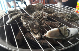 台南｜將軍漁港烤牡蠣體驗＆牡蠣吃到飽