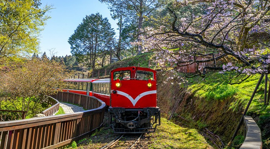 阿里山林鐵(下行)+祝山小火車3天