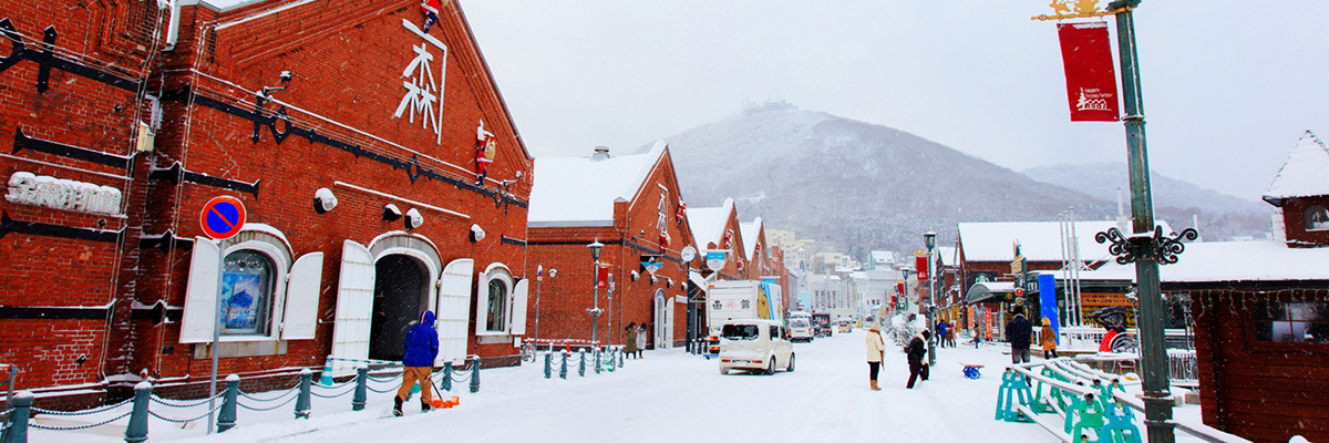 預約幸福冬季♯《新春玩蛇麼》北海道雪遊記５日-函館山百萬夜景、企鵝遊行、冰上垂釣、熊牧場【千千】