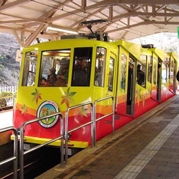 【趣東京走走】高尾山、表參道之丘、深大寺、明治神宮、燒烤放題、輕旅5日