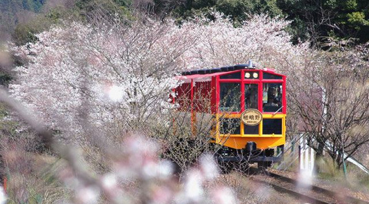 【京都】嵐山小火車