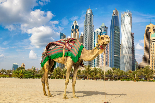 ETIHAD【時尚杜BUY】阿布達比 杜拜 沙迦 輕旅行7天(早鳥前10名送領司導小費)