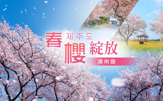 春櫻綻放濟州島５日〈彩妝一站〉－八大賞櫻名所、9.81賽車、苦盡柑來～山房山花海、遊艇海女表演、韓服體驗、豪華海鮮餐