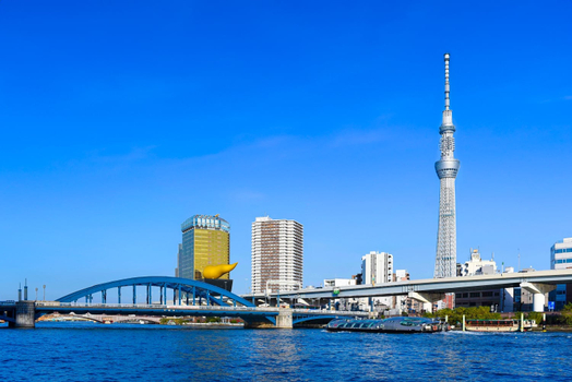 跟團補助限時省♯《伴自由》《特惠》饗宴東京溫泉5日-晴空塔.敘敘苑燒肉.長腳蟹吃到飽
