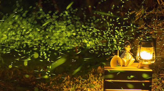 宜蘭藏酒酒莊賞螢+晚餐饗宴+台東海景下午茶3天