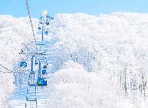 【森吉山樹冰．東北５日】雙點進出、銀山溫泉、猊鼻溪輕舟、角館武家屋敷、青森睡魔、不進免稅店[含稅簽]