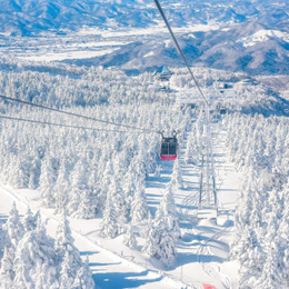 易起追雪預購省♯【季節限定】【搭日航．樹冰雪怪雪紛飛東北北海道８日】藏王樹冰、夢幻只見線、大內宿、角館小京都、函館夜景、採莓戲雪趣、新幹線、札幌燈節、螃蟹溫泉[含稅簽]