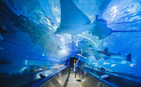 全台樂園/露營精選