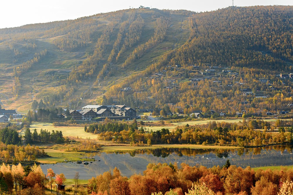 main-photo