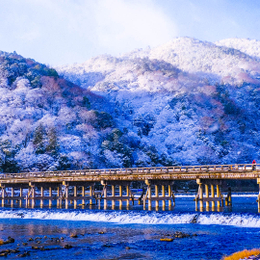 【冬戀京阪神~足湯體驗空中纜車5日】須磨浦山上遊園 有馬溫泉老街 清水寺 嵐山渡月橋 竹林步道 螃蟹.相樸火鍋吃到飽