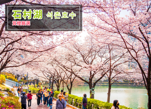 預約粉紅櫻花季♯【高雄出發】童心玩首爾5日(彩妝1站)~樂天世界.LUGE滑車.韓服遊景福宮.汗蒸幕.廣津橋8號街.超美韓屋鐵路咖啡廳