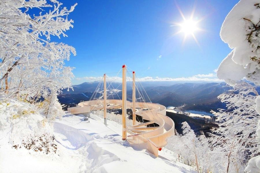 【典藏．北海道星野之宿】TOMAMU雪幻大地、羅曼蒂小樽、晶饌美蟹5日-JX