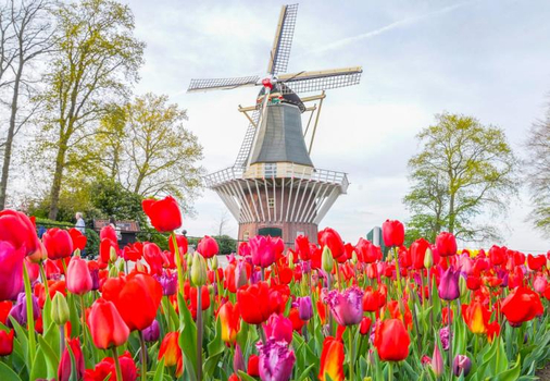 晚鳥限時搶♯鬱見荷比法10天~單高鐵三遊船、羊角村庫肯霍夫、塞納船宴巴黎市區三晚