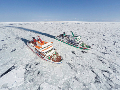 【跟著星宇FUN寒假北海道全覽８日】破冰船、企鵝遊行、忍者魁花秀、冰上釣魚＋三合一戲雪、雪猴泡湯、函館夜景、北國限定冬祭典、螃蟹溫泉[含稅簽]