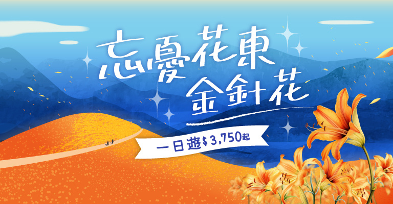 環島之星|東台灣-金針花