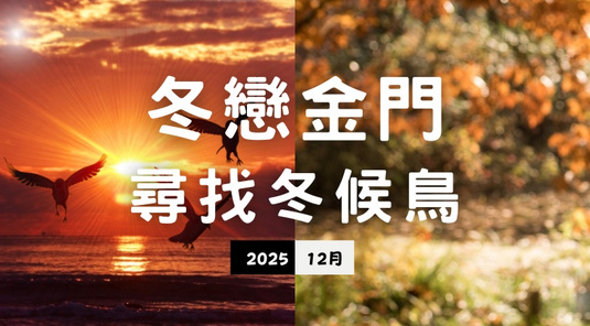 【冬戀金好玩】尋找冬候鳥．大小金門3天