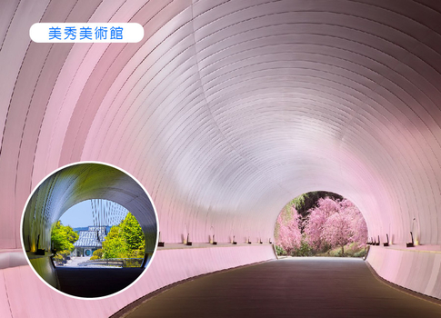 花現紫藤♯絕美關西立山黑部5日美秀美術館.福井萬怡.浪漫紫藤.飛驒小京都高山.白川鄉合掌村.雪之大谷.螃蟹近江牛(華航.星宇)