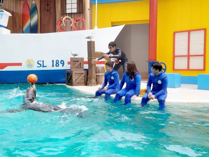 ▼ 藍鯨艙:海獅探索活動 ▼ 藍鯨艙:海獅探索活動