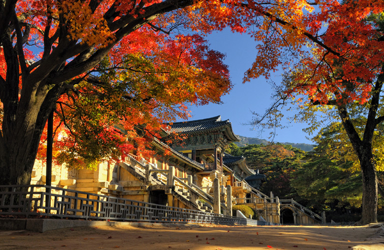 【真航假期｜紅葉賞｜楓紅季節.邱釜慶5日】八大賞楓銀杏名所、升等一晚4星飯店、八公山公園乘纜車、伽耶山公園、佛國寺