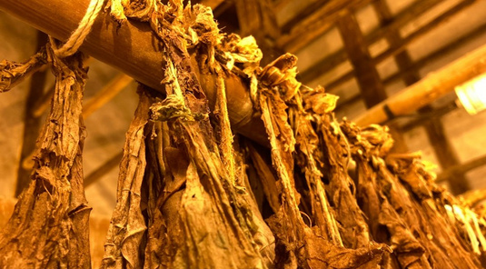 花蓮．瑞穗+鳳林菸樓客庄小旅行2天